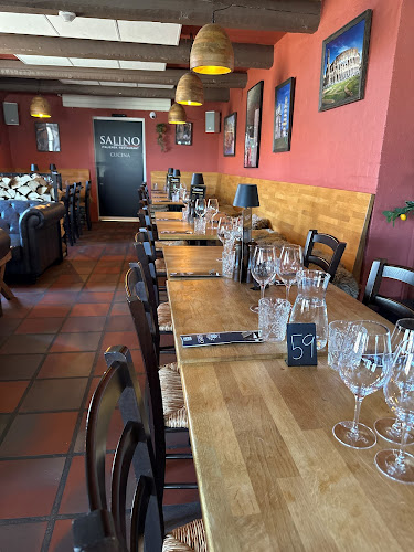 Comentarii opinii despre Salino