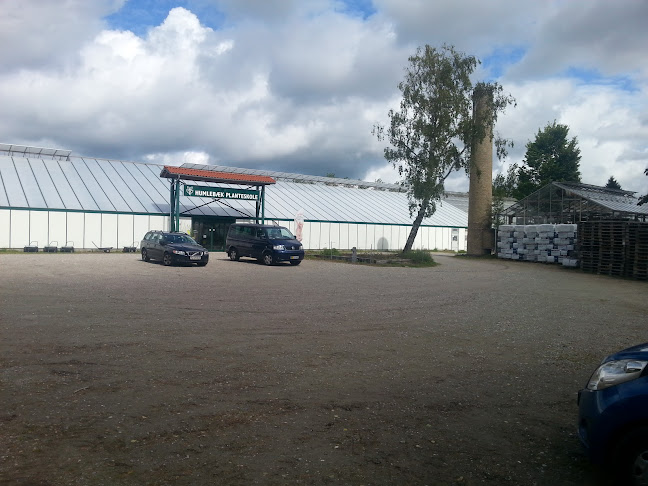 Lavpris Blomst - Gastronomi og hotelvirksomhed