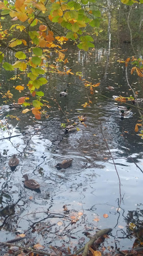 Borgm. P. Christensens Vej 3, 3000 Helsingør