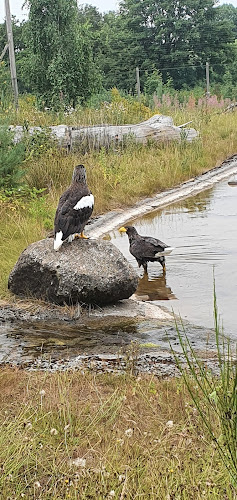 Opinii despre Cafe Bjælkehuset în Kolind - Gastronomi og hotelvirksomhed