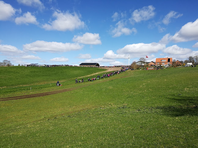Opinii despre Ny Lundgård Ismejeri în Tjele - Gastronomi og hotelvirksomhed