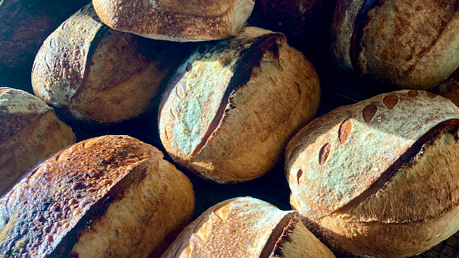 Opinii despre BogøBrød în Bogø By - Gastronomi og hotelvirksomhed