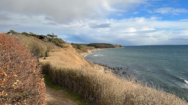 Café fyret - Gastronomi og hotelvirksomhed