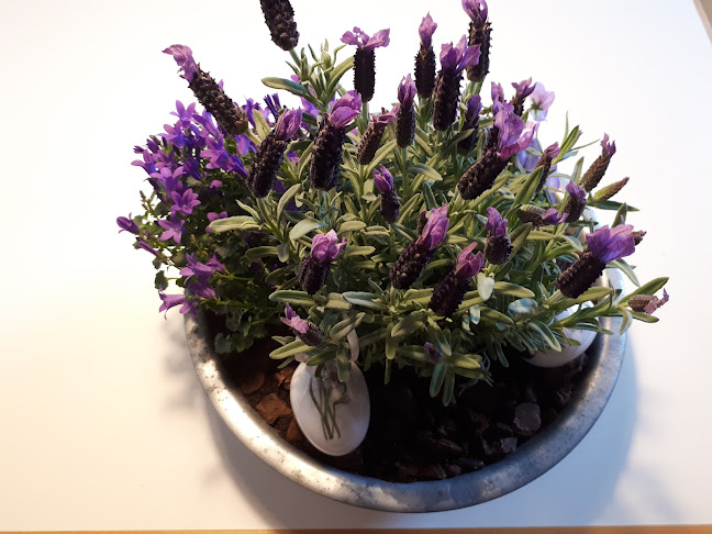 Præstemarksvej 1, 8700 Horsens