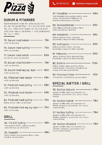 Hammerum Pizza og KebabHouse - Gastronomi og hotelvirksomhed