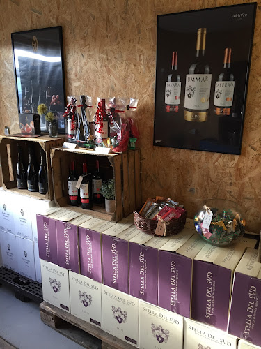 Comentarii opinii despre Holch Vine