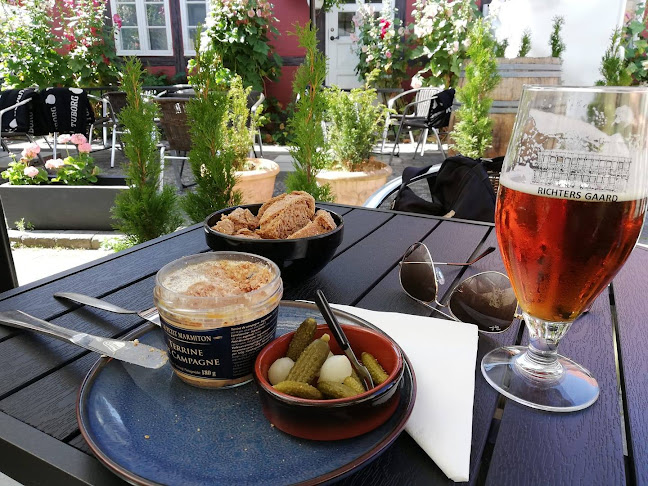 Comentarii opinii despre RICHTERs Ølstue