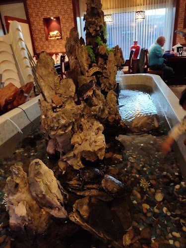 Comentarii opinii despre Asia Restaurant Esbjerg