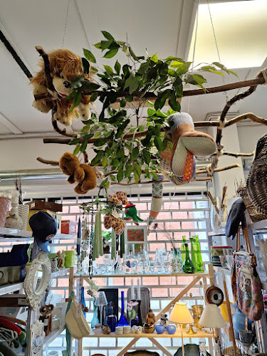 Comentarii opinii despre takeNOW Egå