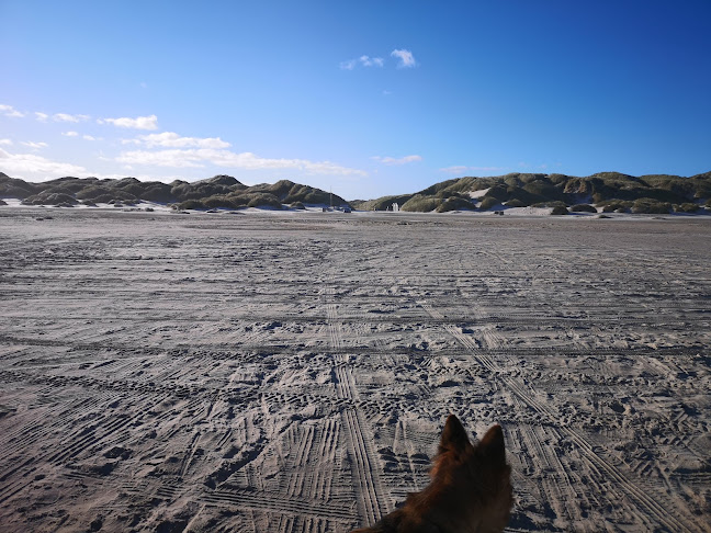 Saltum Strandvej 221, 9493 Saltum