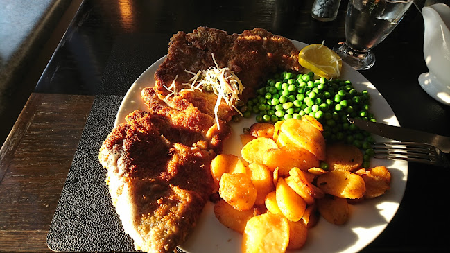 Comentarii opinii despre Frankel 5