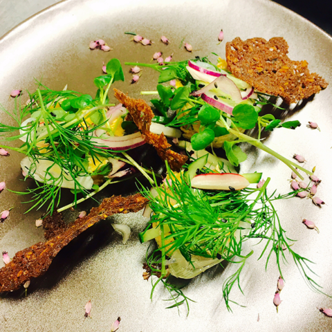 Hansens Café - Gastronomi og hotelvirksomhed