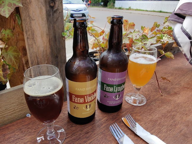 Comentarii opinii despre Rudbecks Fanø