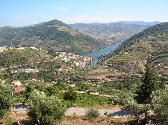 Portvinsloftet - Gastronomi og hotelvirksomhed