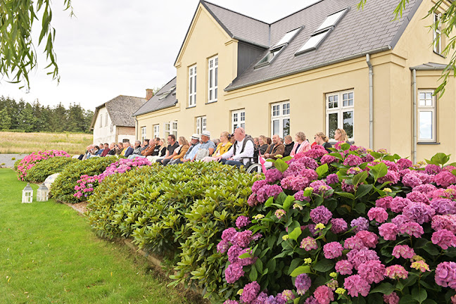 Comentarii opinii despre MolsCafeen