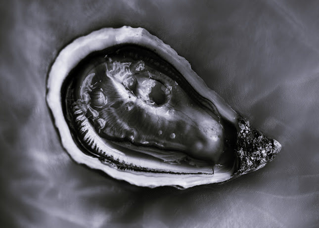 LUN Restaurant & vinbar - Gastronomi og hotelvirksomhed