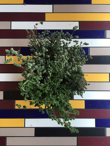 Cicchetti - København