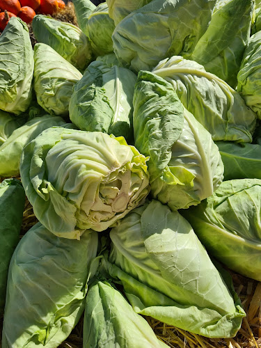 Aarstiderne - Gastronomi og hotelvirksomhed