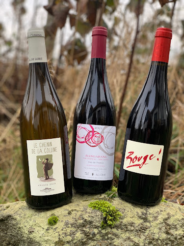 Comentarii opinii despre Den Flaskehalsen Peger på