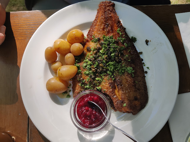 Comentarii opinii despre Restaurant Grøften /Tivoli