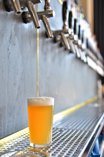 Blue Raven - København