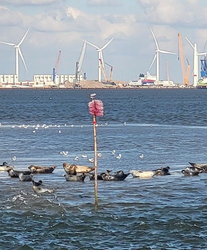 Comentarii opinii despre Fanø Krogaard