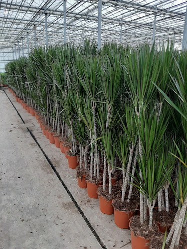 Opinii despre Gartneriet Nordfyn ApS în Otterup - Gastronomi og hotelvirksomhed