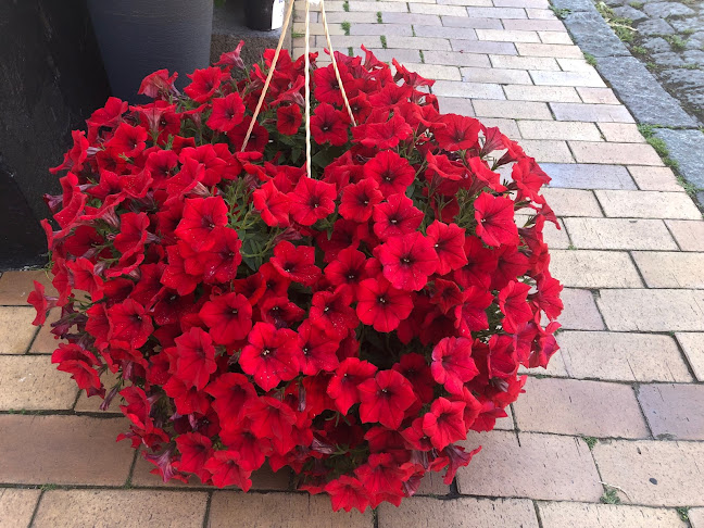 Æstetik og Velvære - Gastronomi og hotelvirksomhed