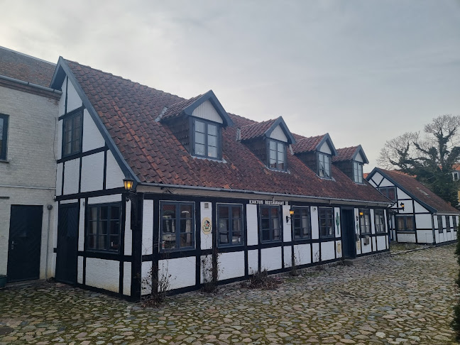 Kaktus III - Præstø