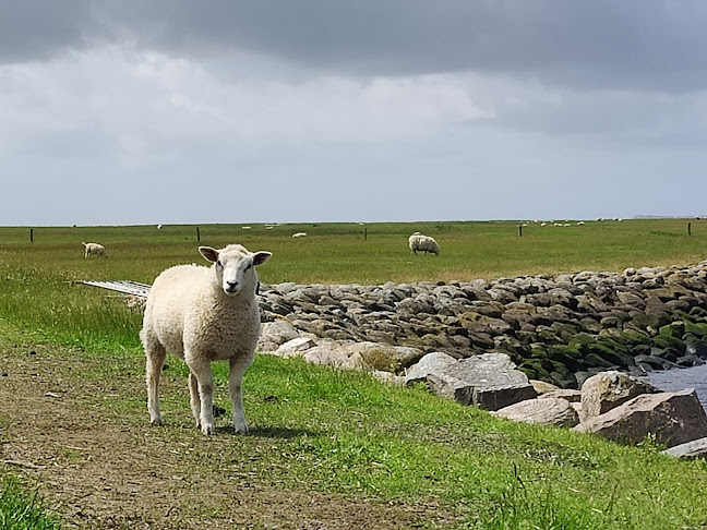 Kammerslusen - Gastronomi og hotelvirksomhed