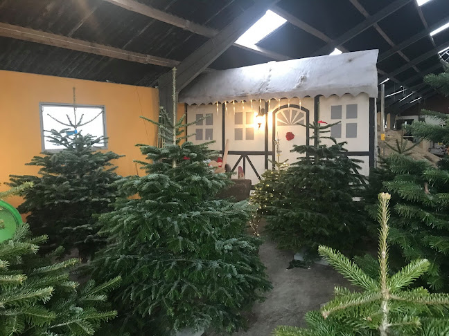 Vamdrup Juletræer - Gastronomi og hotelvirksomhed