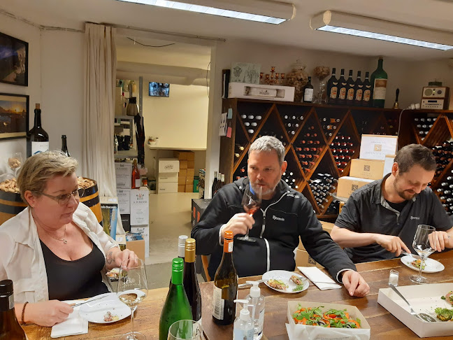 Comentarii opinii despre Skjold Burne