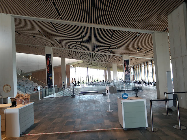 Caféen på Moesgaard Museum - Højbjerg