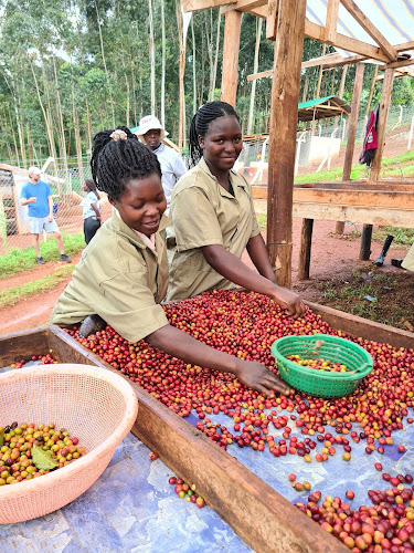 Clevercoffee ApS - Gastronomi og hotelvirksomhed