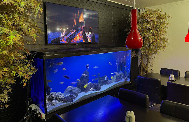 Opinii despre Safins Pizza & Grill în Løsning - Gastronomi og hotelvirksomhed