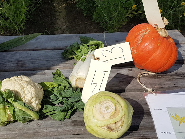 Aarstiderne - Gastronomi og hotelvirksomhed