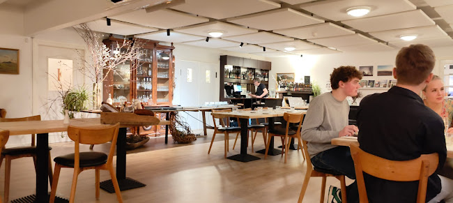 Comentarii opinii despre Det Vilde Køkken