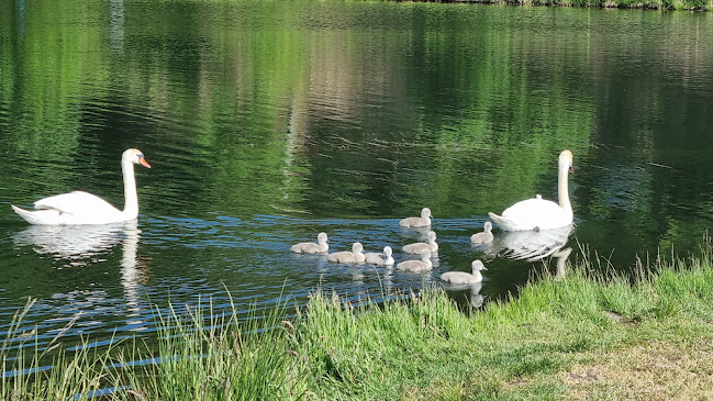 Rørbæk Sø - Gastronomi og hotelvirksomhed