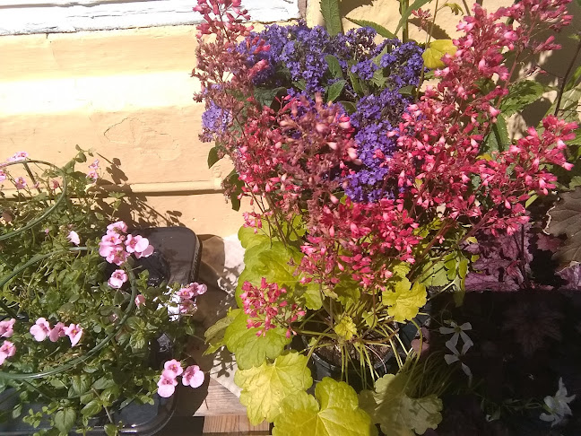 Stettestræde 20, 3700 Rønne