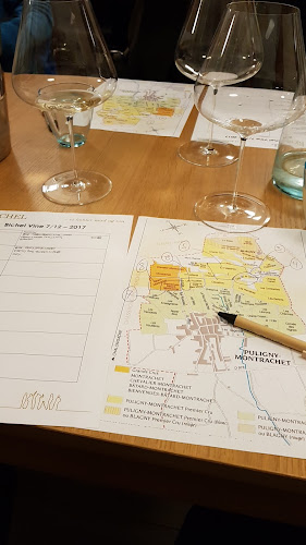 Comentarii opinii despre Bichel Vine