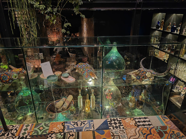 Comentarii opinii despre Llama