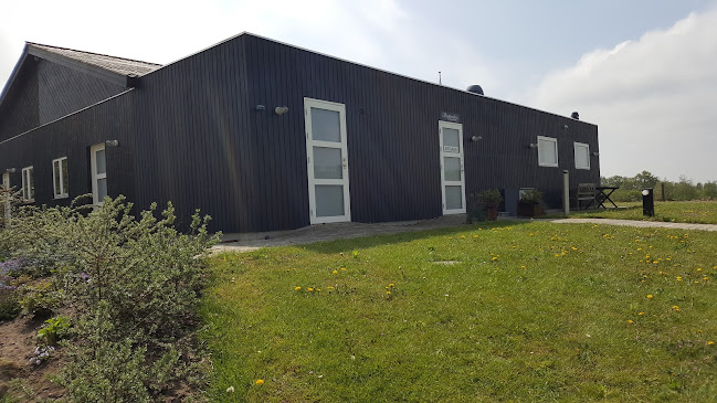 Stampenborg/Hanne Damtoft Johansen - Rødekro