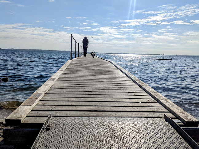 Comentarii opinii despre LYBYSTRAND