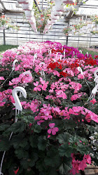 Gartneriet Nordfyn ApS