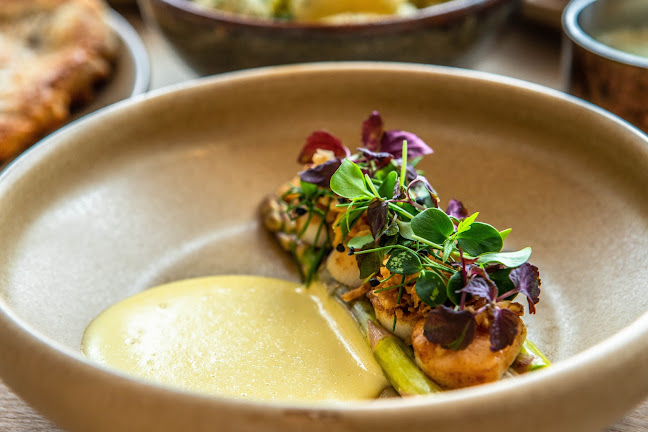 Comentarii opinii despre pynten.