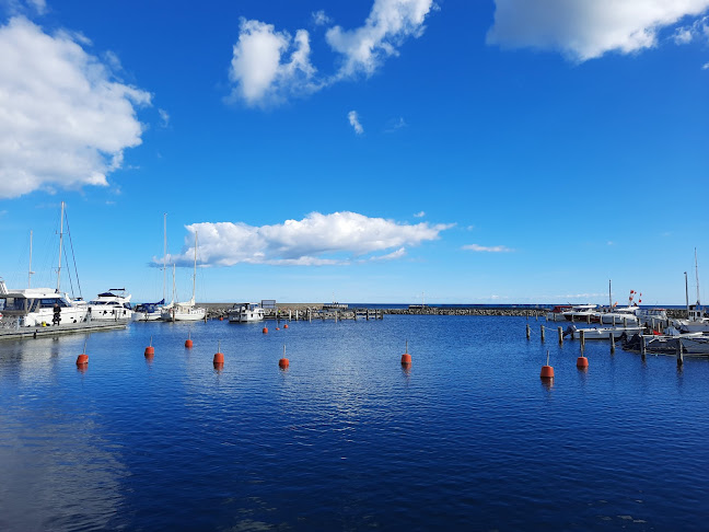 Restaurant Neptun - Gastronomi og hotelvirksomhed