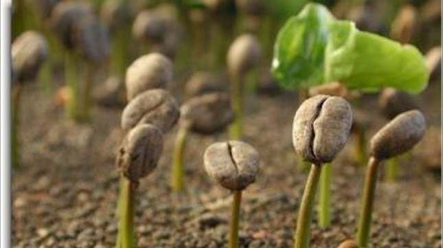 Opinii despre Friskbrygget.dk în Holbæk - Gastronomi og hotelvirksomhed