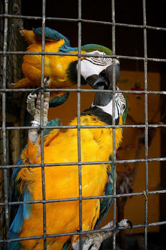 Bolsterbjergvej 26, 3700 Rønne