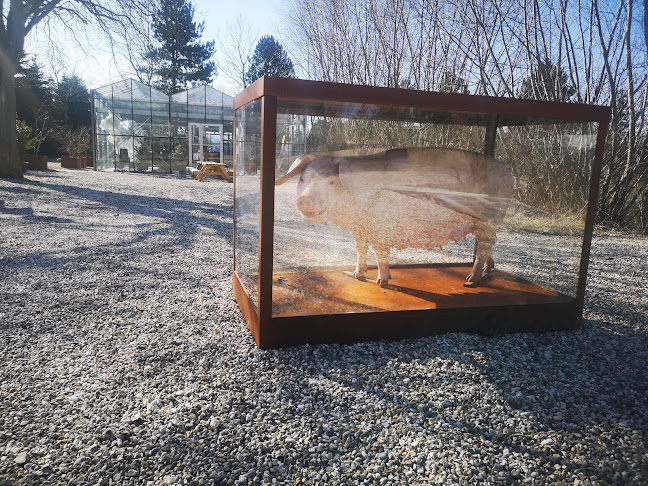 Lillesyd Forsamlingshus - Gastronomi og hotelvirksomhed