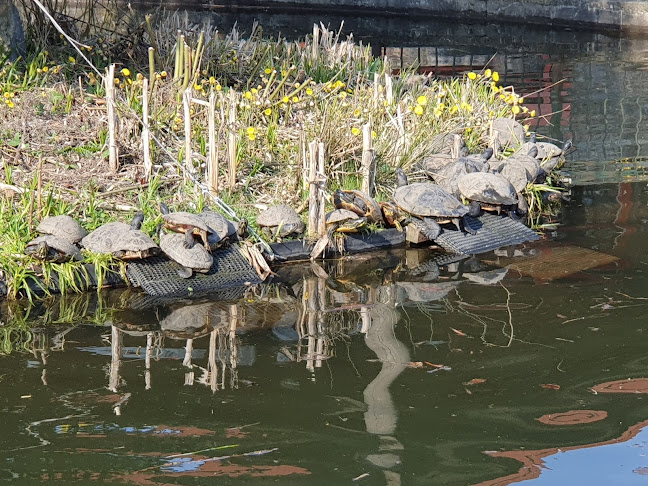 Madsby kiosken - Fredericia